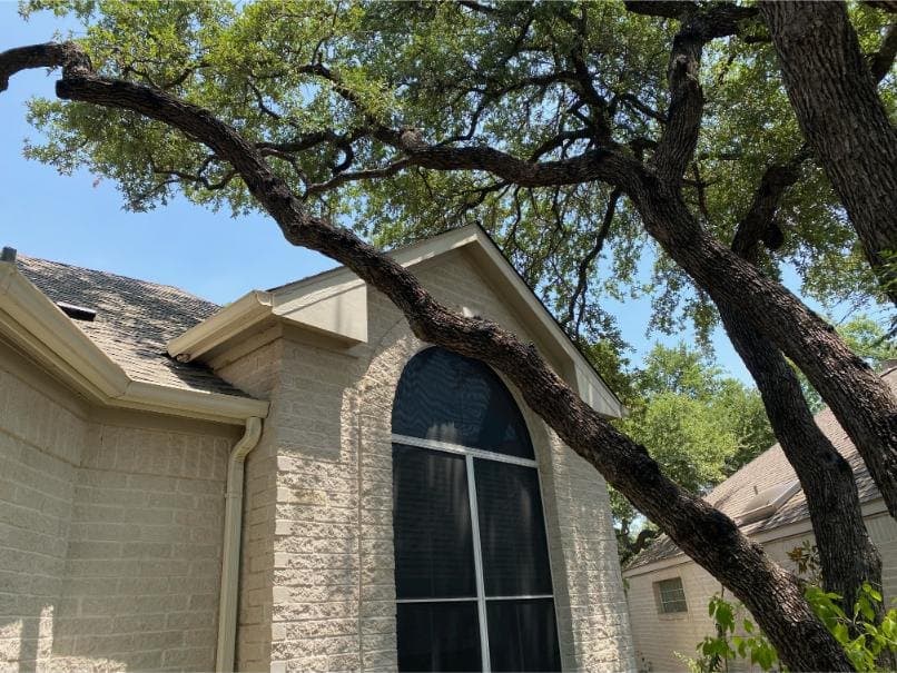 Branch clean-up — after