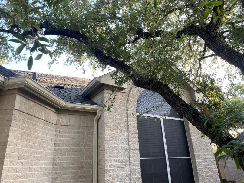 Branch clean-up — before