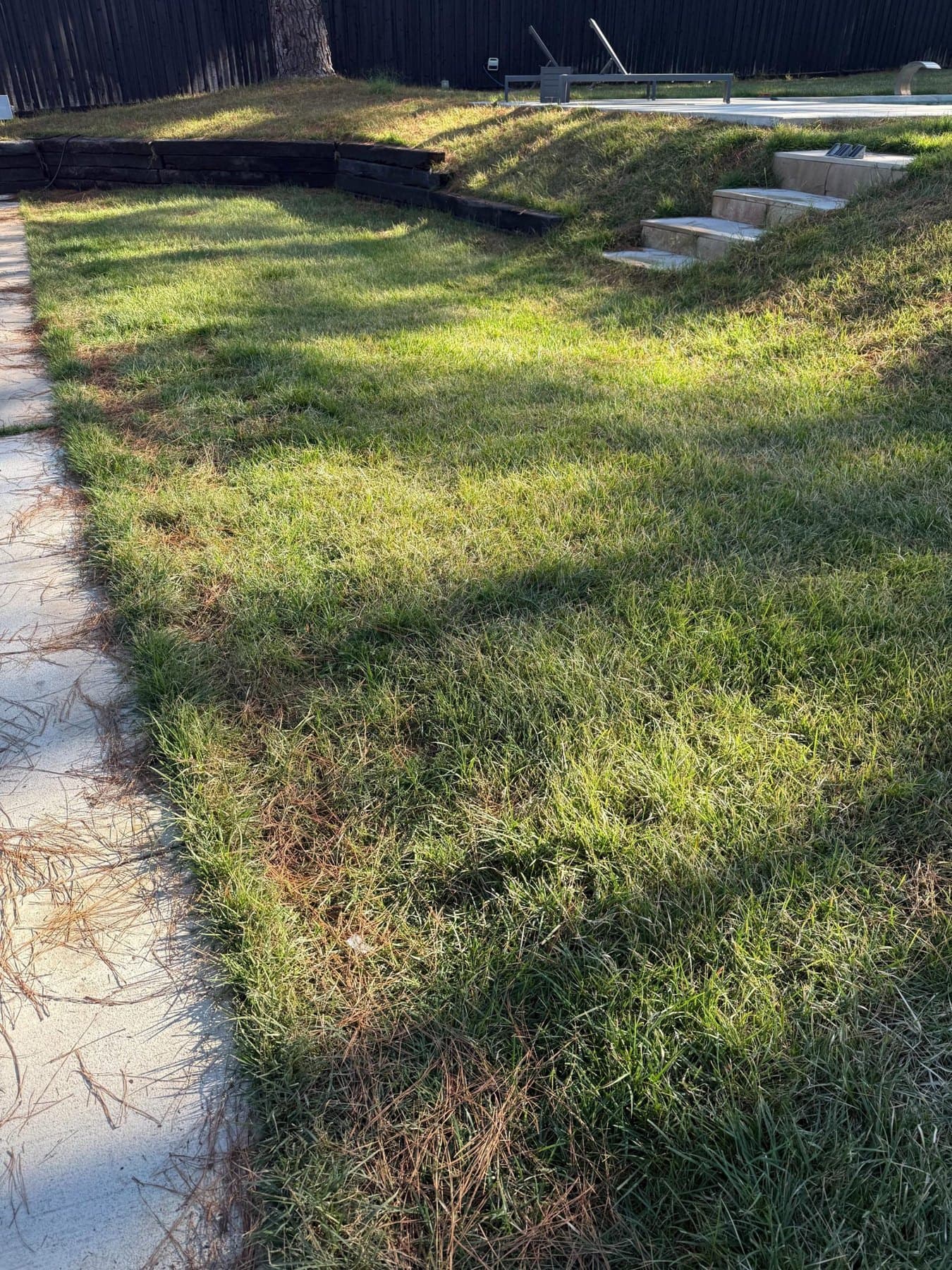 Backyard lawn beside a concrete walkway, stone steps and a dark wooden fence
