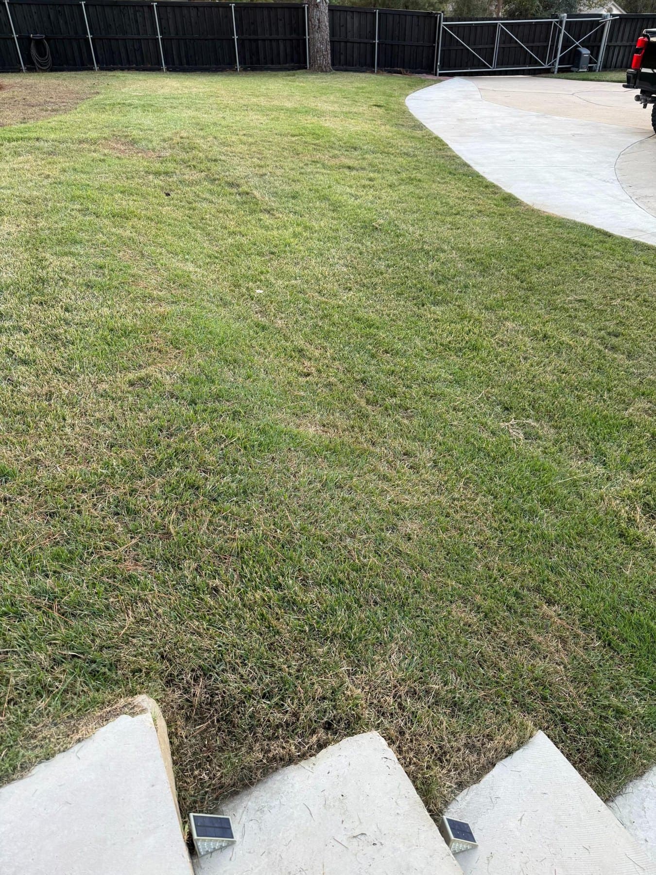 Lawn beside stone steps and a curved concrete driveway