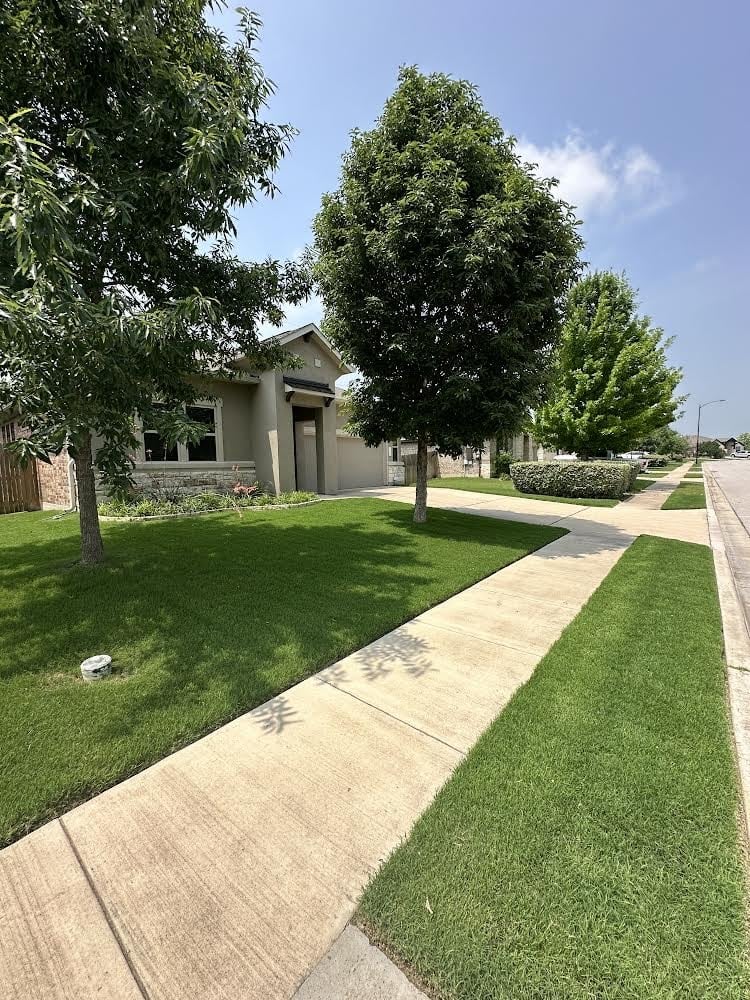 Freshly mowed lawn and trees along a Bastrop sidewalk