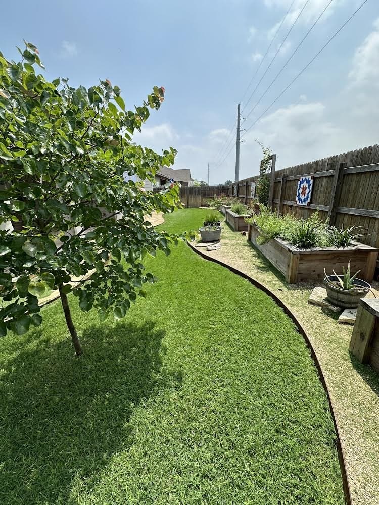 A curved lawn edge beside raised garden beds