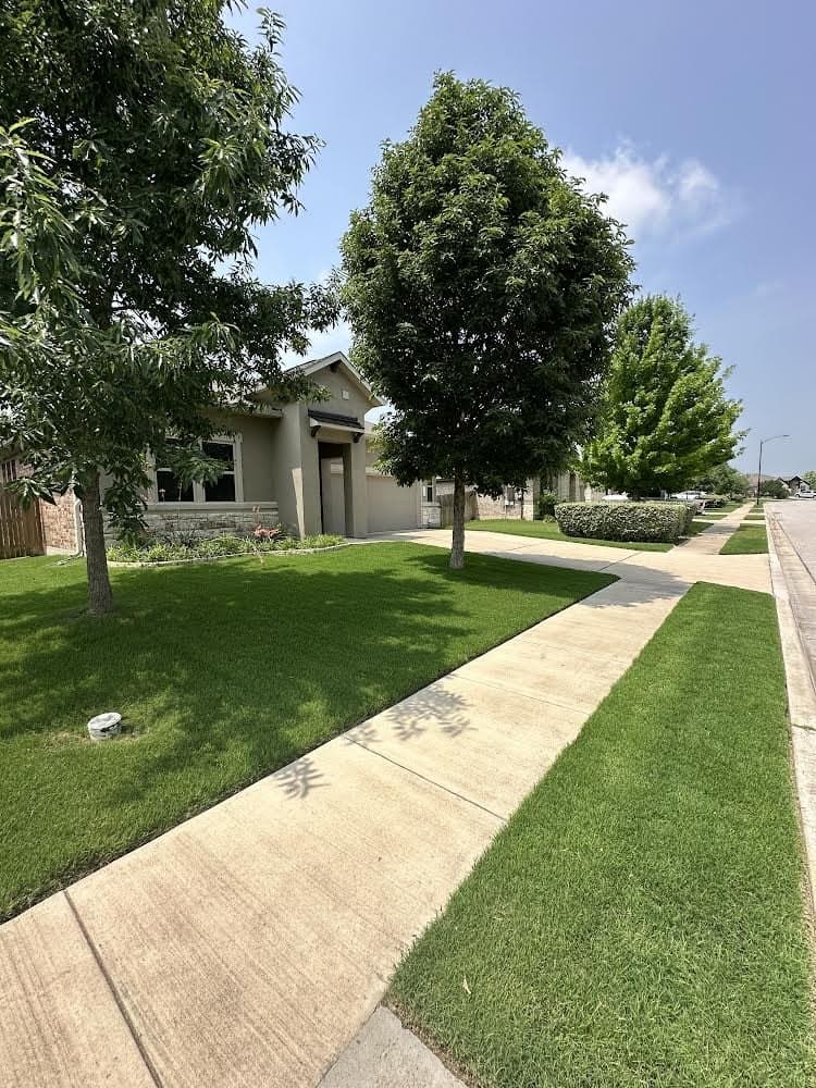 Freshly mowed lawn and trees along a Bastrop sidewalk