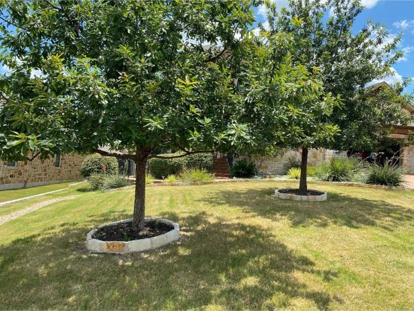 Yard & bed clean-up — after